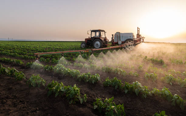 Professional Pest Control in Sisseton, SD