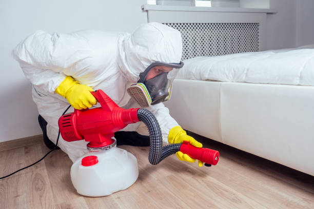 Best Best Pest Control Companies  in Sisseton, SD