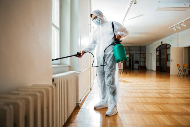 Best Wasp Removal Services  in Sisseton, SD