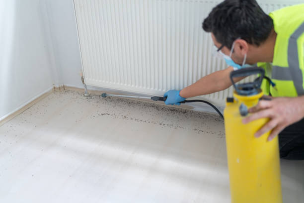 Best Cockroach Control Services  in Sisseton, SD