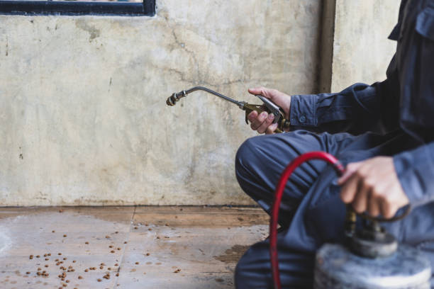 Best Rat Extermination Near Me  in Sisseton, SD