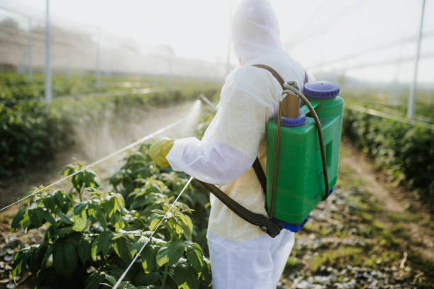 Best Termite Control Services  in Sisseton, SD